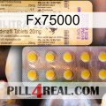 Fx75000 new06